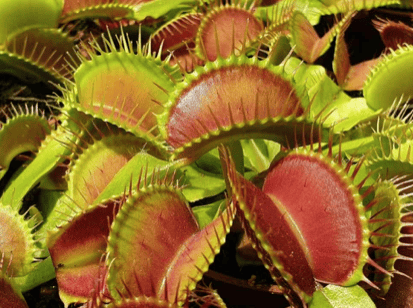 Screenshot 2025-02-05 at 10.54.17 AM